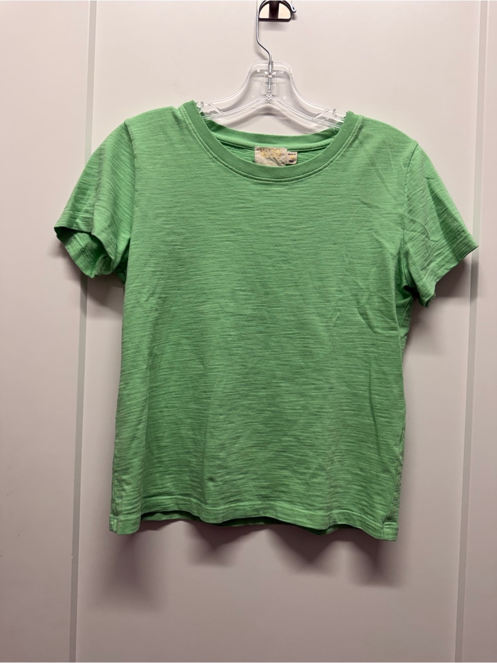 NATION LTD Classic Crew Neck Short Sleeve Top in Mint Green